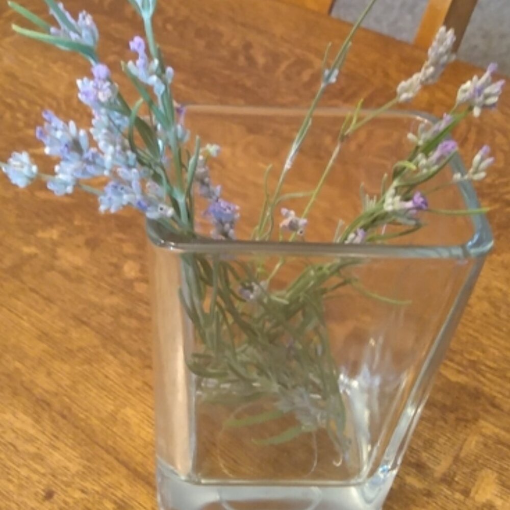 Libbey Clear Glass Rectangular Heavy Vase or Candle Holder
